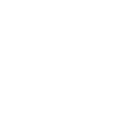 Data visualisation